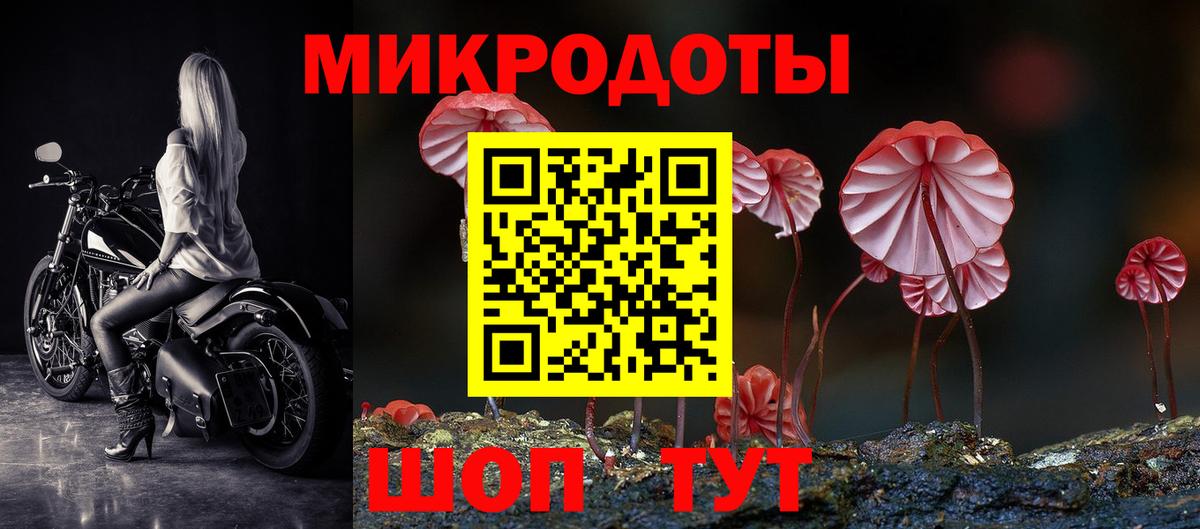 где продают   Вход с VPN  Ростов Великий  Галлюциногенные грибы мицелий 