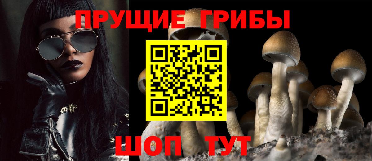 Галлюциногенные грибы мухоморы Ростов Великий
